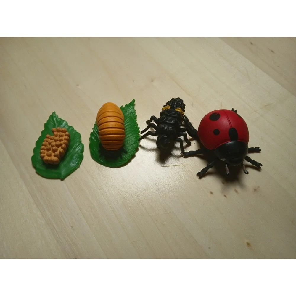 Life Cycle Of A Ladybug Figures Safari Ltd NEW Toys Collectibles Kids Education